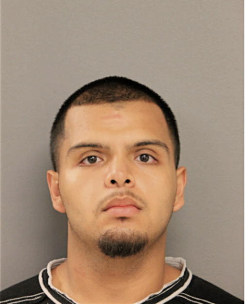 DIOMAR RANGEL, Cook County, Illinois