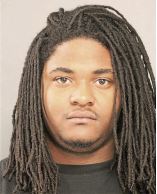 ROVAN T SAVAGE, Cook County, Illinois