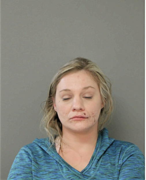 TARA A STEPANIAN, Cook County, Illinois