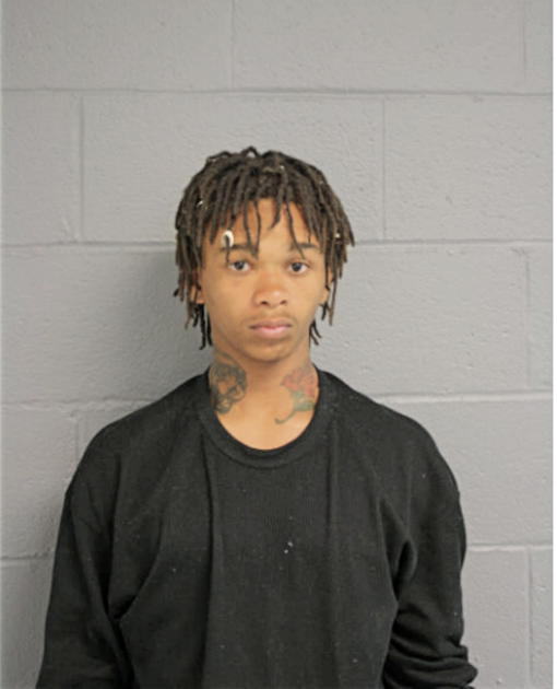 MICHAEL L WILLIAMS, Cook County, Illinois