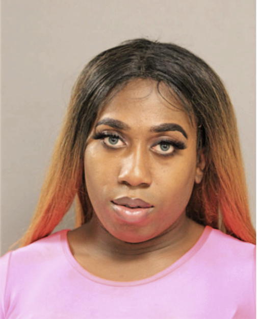 TERRY T COLE, Cook County, Illinois