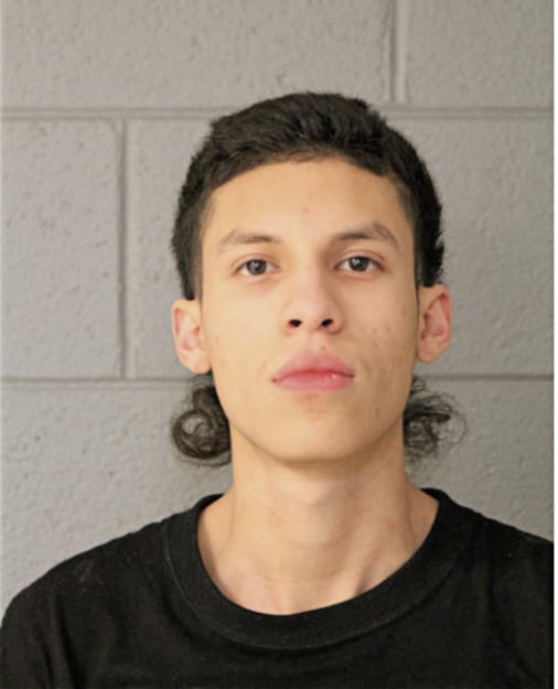 CRISTIAN COVARRUBIAS, Cook County, Illinois
