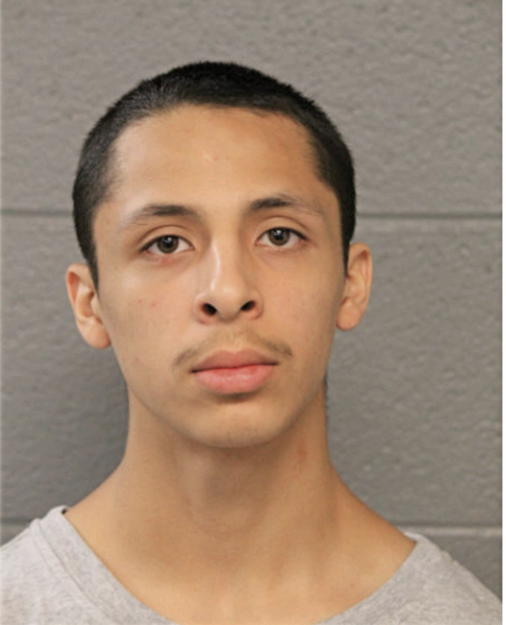 ANTHONY R CRUZ, Cook County, Illinois