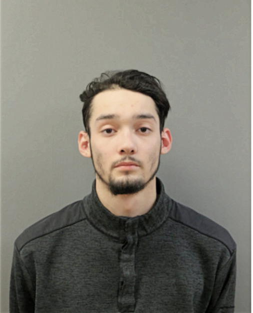 JOSHUA C FONTANEZ, Cook County, Illinois