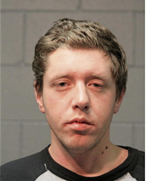 BRANDON K HORRELL, Cook County, Illinois