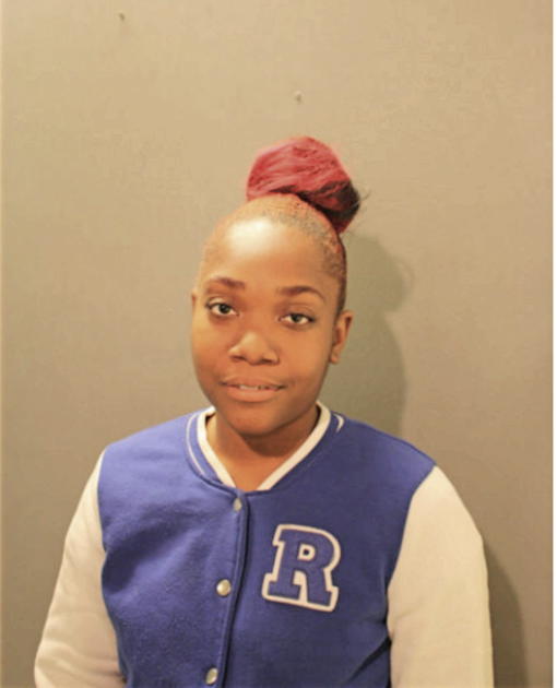 LENA N JOHNSON, Cook County, Illinois
