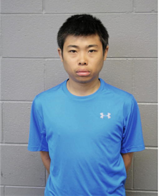 MICHAEL LAM, Cook County, Illinois