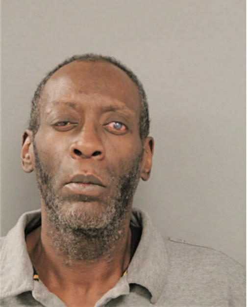 RAPHELL J LAVALY, Cook County, Illinois