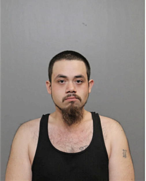 CARLOS P LEAL, Cook County, Illinois