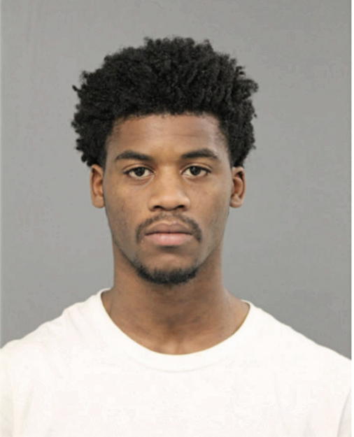 DARRELL N LOFTON, Cook County, Illinois