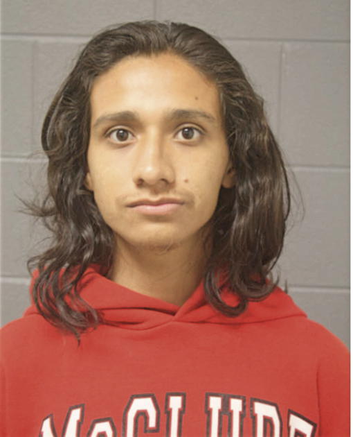 ALEXIS E MARTINEZ, Cook County, Illinois