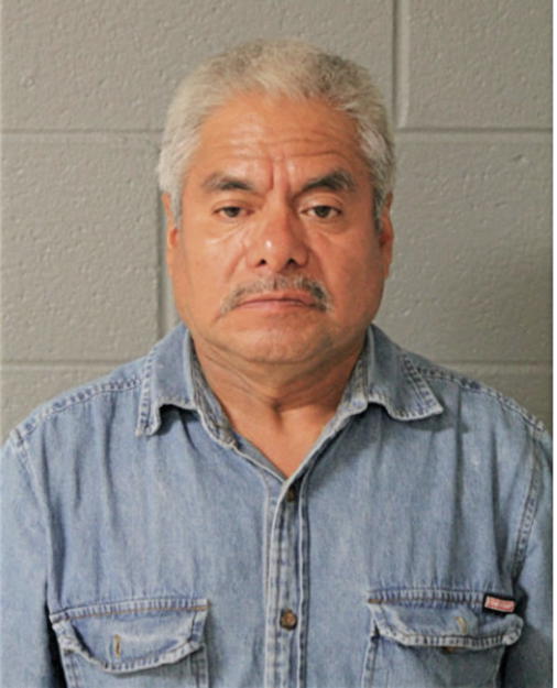 ROBERTO V MARTINEZ, Cook County, Illinois