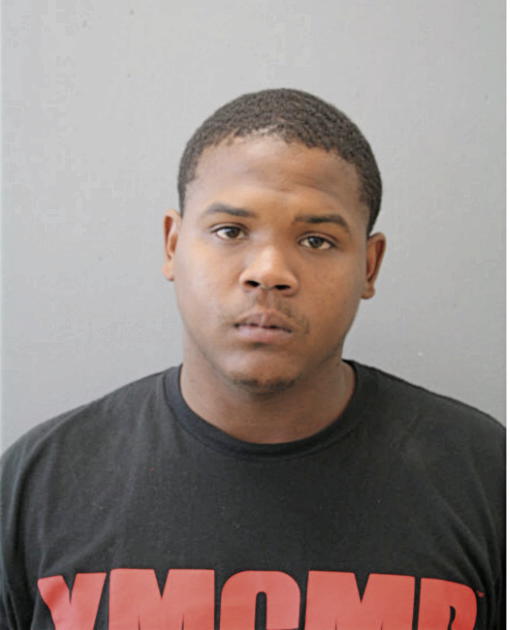 BRANDON G MERKSON, Cook County, Illinois