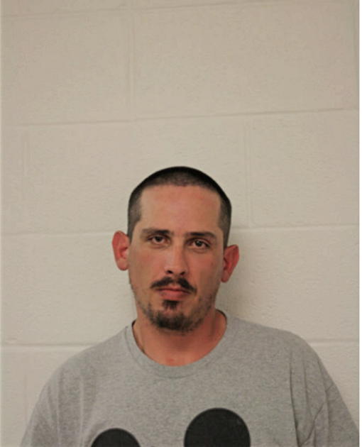 JOSHUA G NELSON, Cook County, Illinois