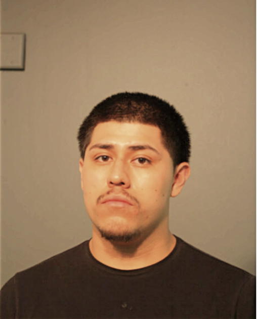 ALFREDO REYES, Cook County, Illinois