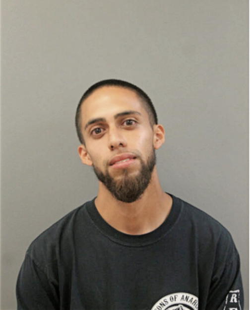 JOHNNY A REYES, Cook County, Illinois