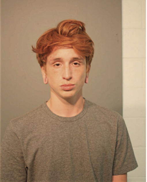 BERNARD RODRIGUEZ, Cook County, Illinois