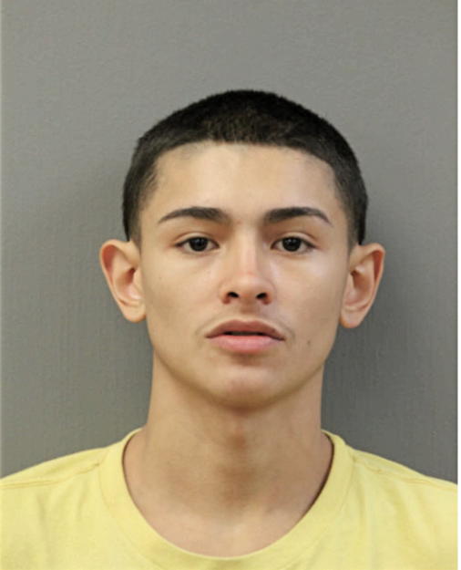 TIMOTHY A RODRIGUEZ, Cook County, Illinois