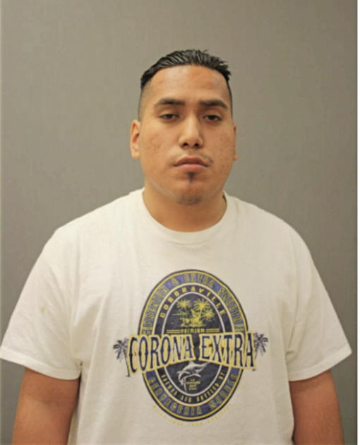 HUGO SEGURA, Cook County, Illinois