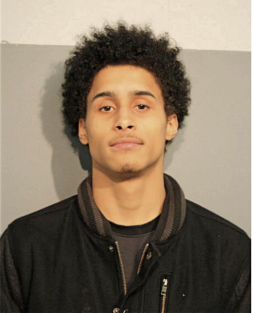 SHANE A SMITH, Cook County, Illinois