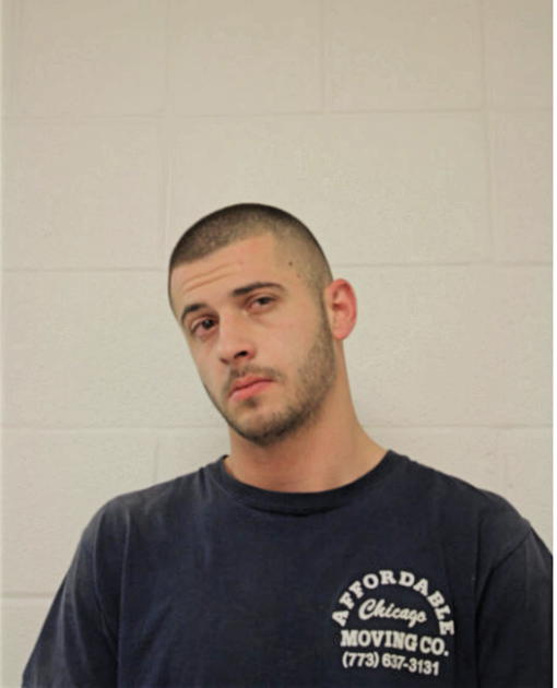 TODOR K TODOROV, Cook County, Illinois