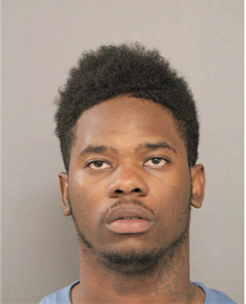 MICHAEL L VALENTINE, Cook County, Illinois