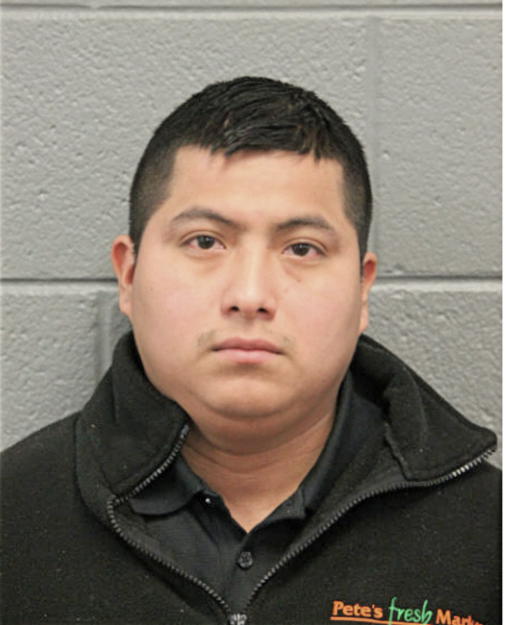 GONZALO VIDAL, Cook County, Illinois