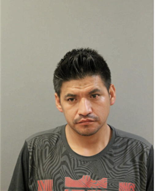 JULIO VILLA, Cook County, Illinois