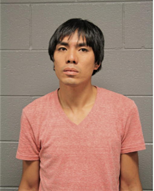 MICHAEL WOO, Cook County, Illinois