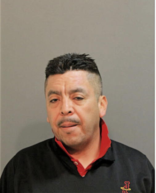 JOSE L AYALA, Cook County, Illinois