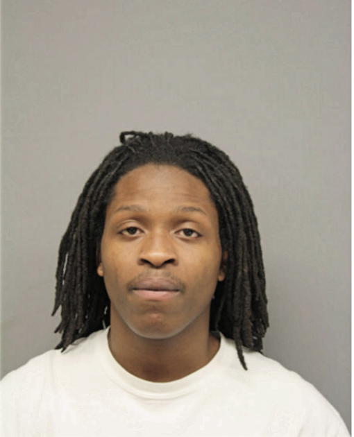 AARON L BALLARD, Cook County, Illinois