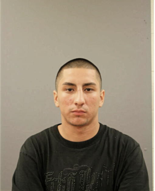 JOSE A ESCOBAR, Cook County, Illinois