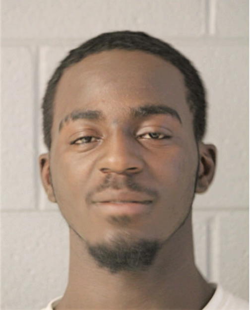 VINCENT FLAKES, Cook County, Illinois