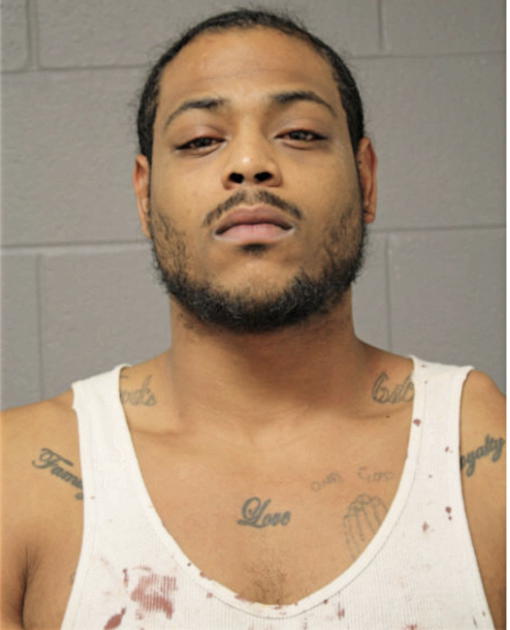 BRANDON N FREEMAN, Cook County, Illinois