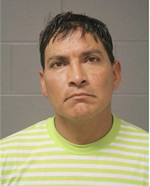 JOSE L GALLEGOS, Cook County, Illinois