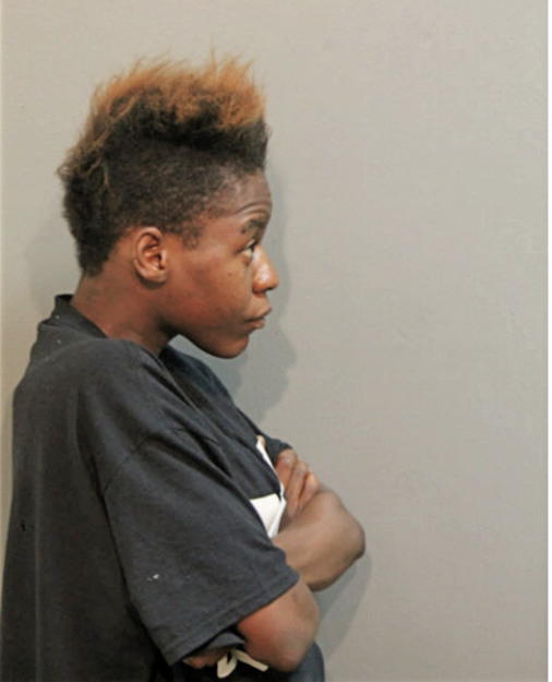DANA GARDNER, Cook County, Illinois