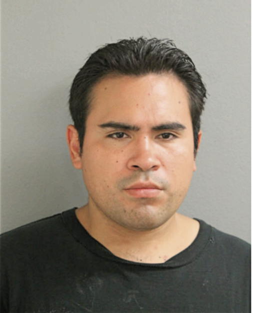 MERARI I GOMEZ, Cook County, Illinois