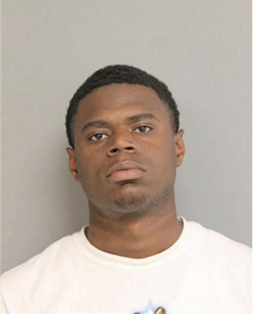 DARRYL N JOHNSON, Cook County, Illinois