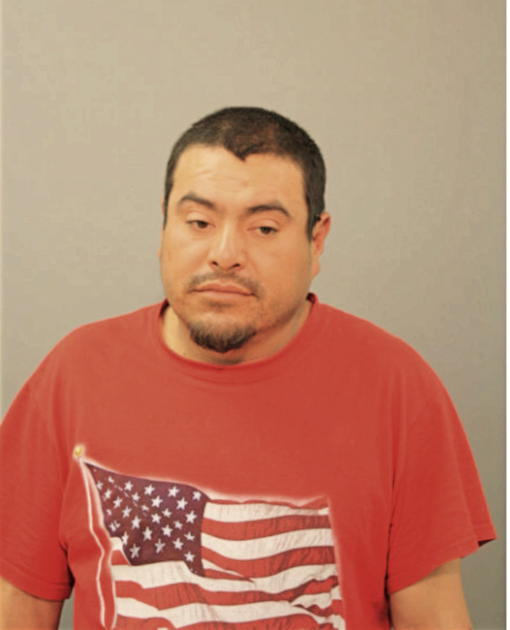 ROBERTO MEJIA, Cook County, Illinois