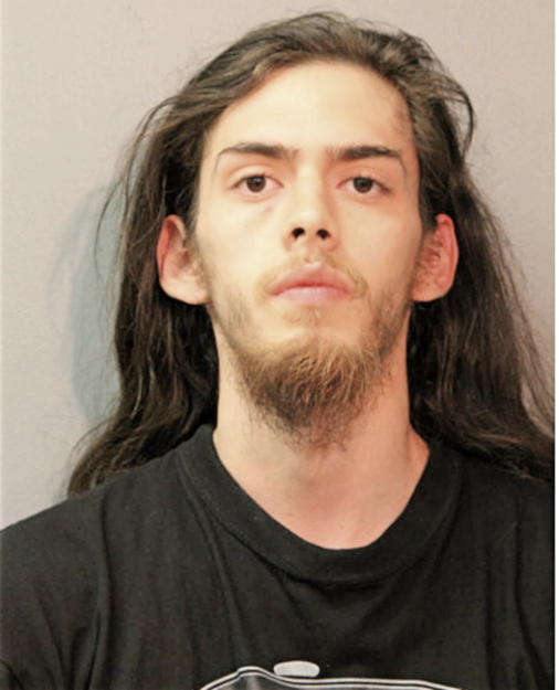 CHRISTOPHER E PINEDA, Cook County, Illinois