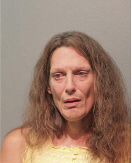 JAMIE L VEGA, Cook County, Illinois