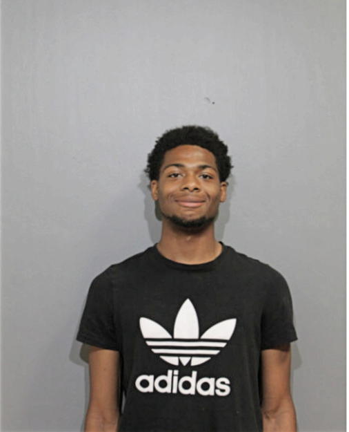 DAMARIO L WHITEHEAD, Cook County, Illinois