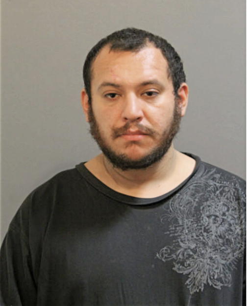 JOHN BAEZ, Cook County, Illinois