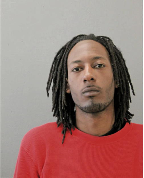 SHANNON T BRADFORD, Cook County, Illinois