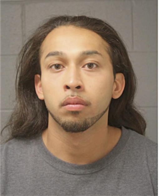 OSCAR BRAVO, Cook County, Illinois