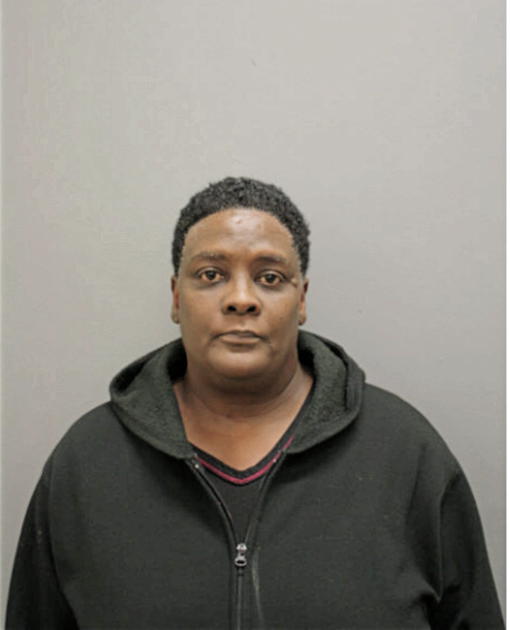 JANICE H BROWN, Cook County, Illinois