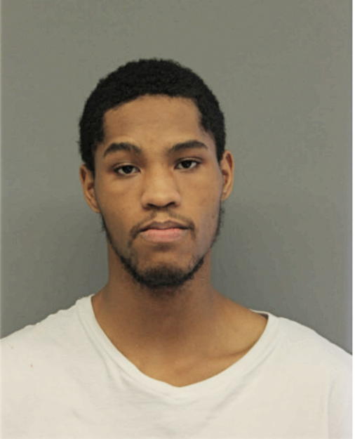 CHRISTOPHER BRYAN, Cook County, Illinois