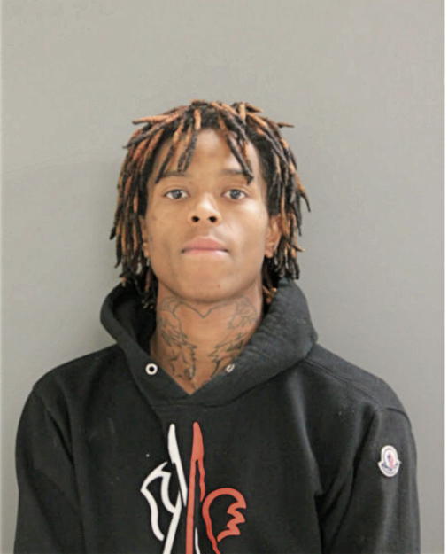 LAMARIO E DELGADO-GONZALEZ, Cook County, Illinois