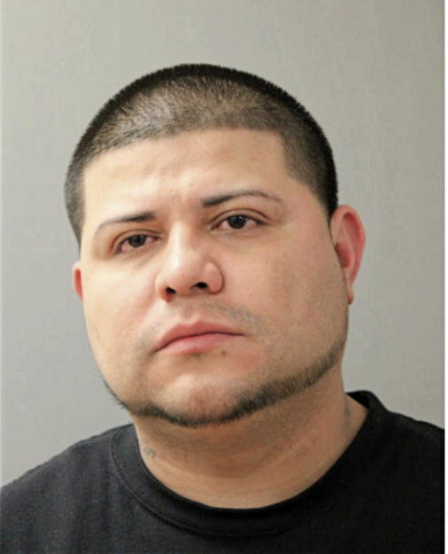 ABEL FLORES, Cook County, Illinois
