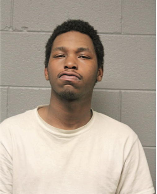 LORENZO M GARRY, Cook County, Illinois